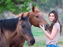El mundo animal, más que compañeros fieles, fuentes de bienestar - Itagüí Hoy