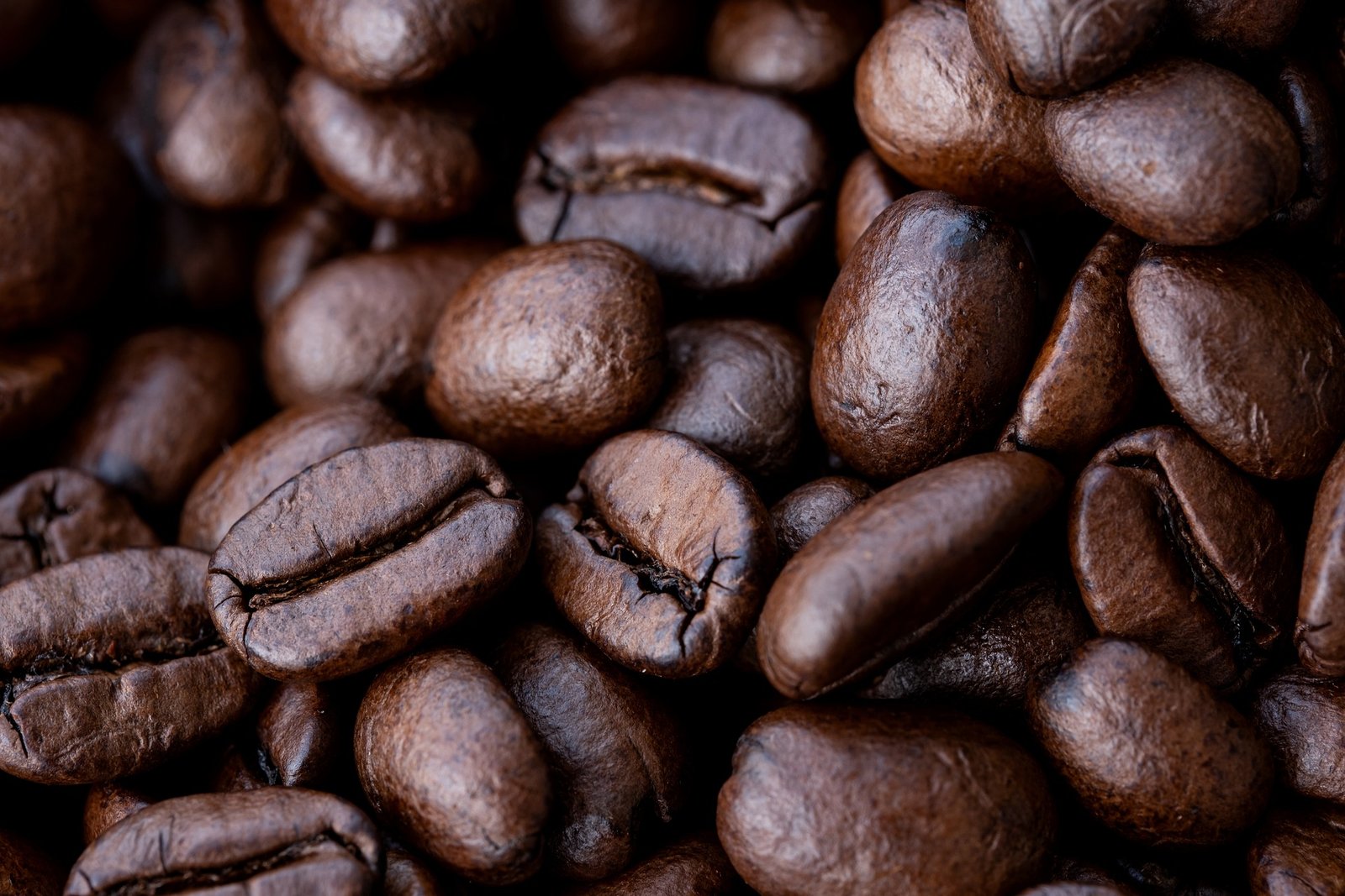 Barbosa café