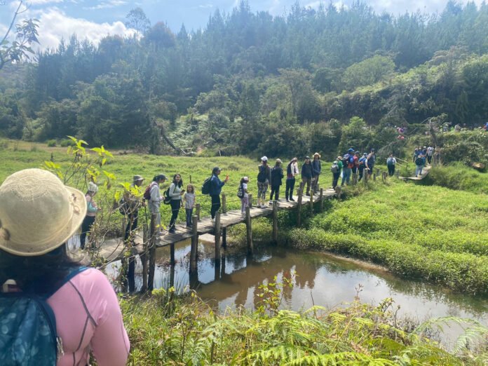 Caminata Barbosa Caminata Barbosa