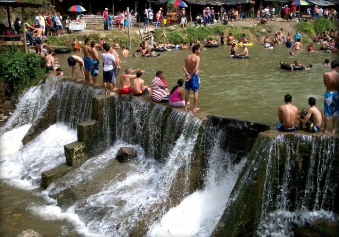 Barbosa, el “Distrito Capital de la Piña” Barbosa, el “Distrito Capital de la Piña”