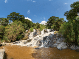 Vacaciones Recreativas