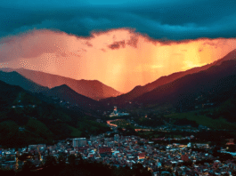 Festival de la Canción Piña de Oro