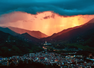 Festival de la Canción Piña de Oro