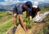 Barbosa impulsa una sembratón que fortalece la biodiversidad en la vereda Ventanas Barbosa impulsa una sembratón