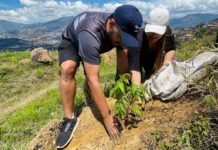 Barbosa impulsa una sembratón que fortalece la biodiversidad en la vereda Ventanas Barbosa impulsa una sembratón