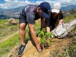 Barbosa impulsa una sembratón