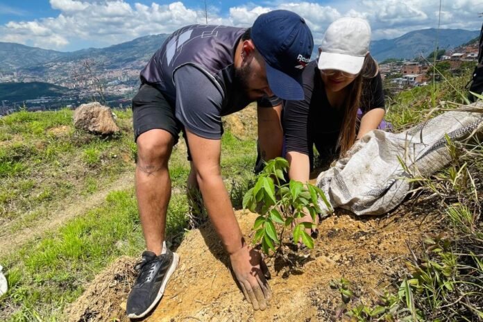 Barbosa impulsa una sembratón