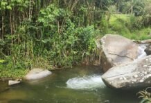 Caminata ecológica en la vereda