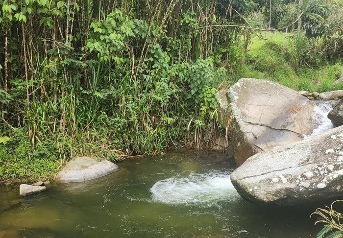 Caminata ecológica en la vereda
