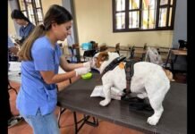 jornada de vacunación