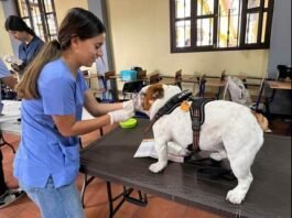 jornada de vacunación