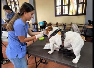 jornada de vacunación