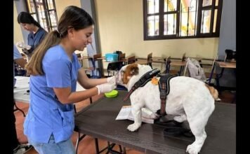 jornada de vacunación