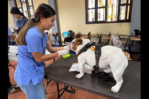 jornada de vacunación